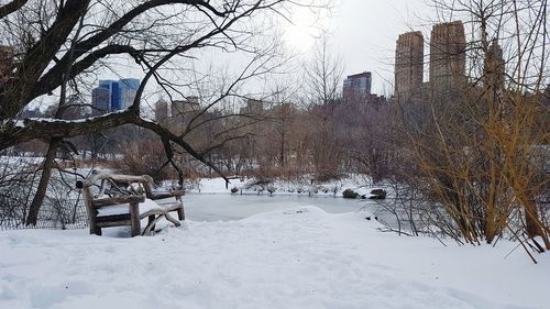 Snow covered bare trees against sky