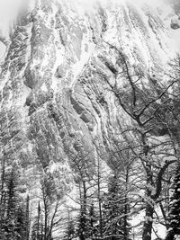 Low angle view of snow covered land