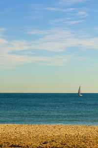 Sailboat sailing on sea against sky