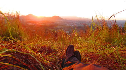 Low section of person standing on grassy field against sky during sunset