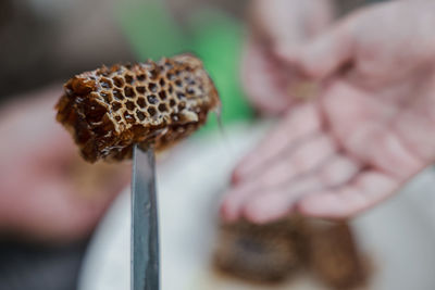 Honeycomb on the tip of a knife 