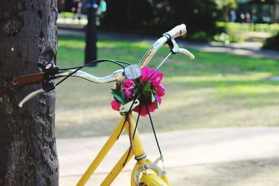 Close-up of wilted flower on tree trunk