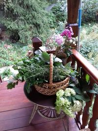 High angle view of potted plants