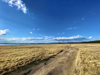 Scenic view of landscape against blue sky