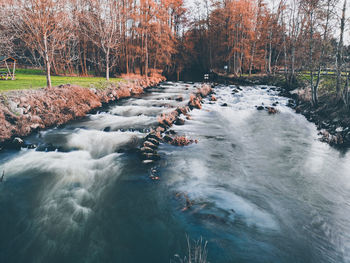 Scenic view of river stream in forest