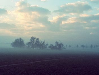 Trees on field against cloudy sky