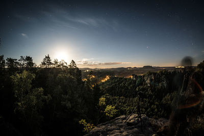 Plants growing on land against sky at night