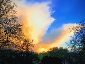 Low angle view of silhouette trees against sky during sunset