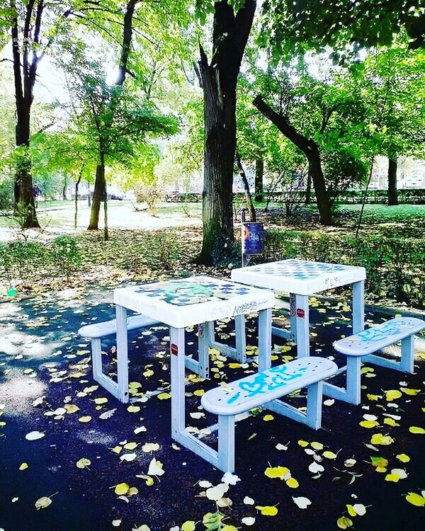 CHAIRS AND TABLE AGAINST TREES AT BEACH