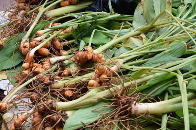 High angle view of vegetables for sale in market