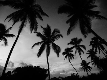 Low angle view of silhouette palm trees against sky