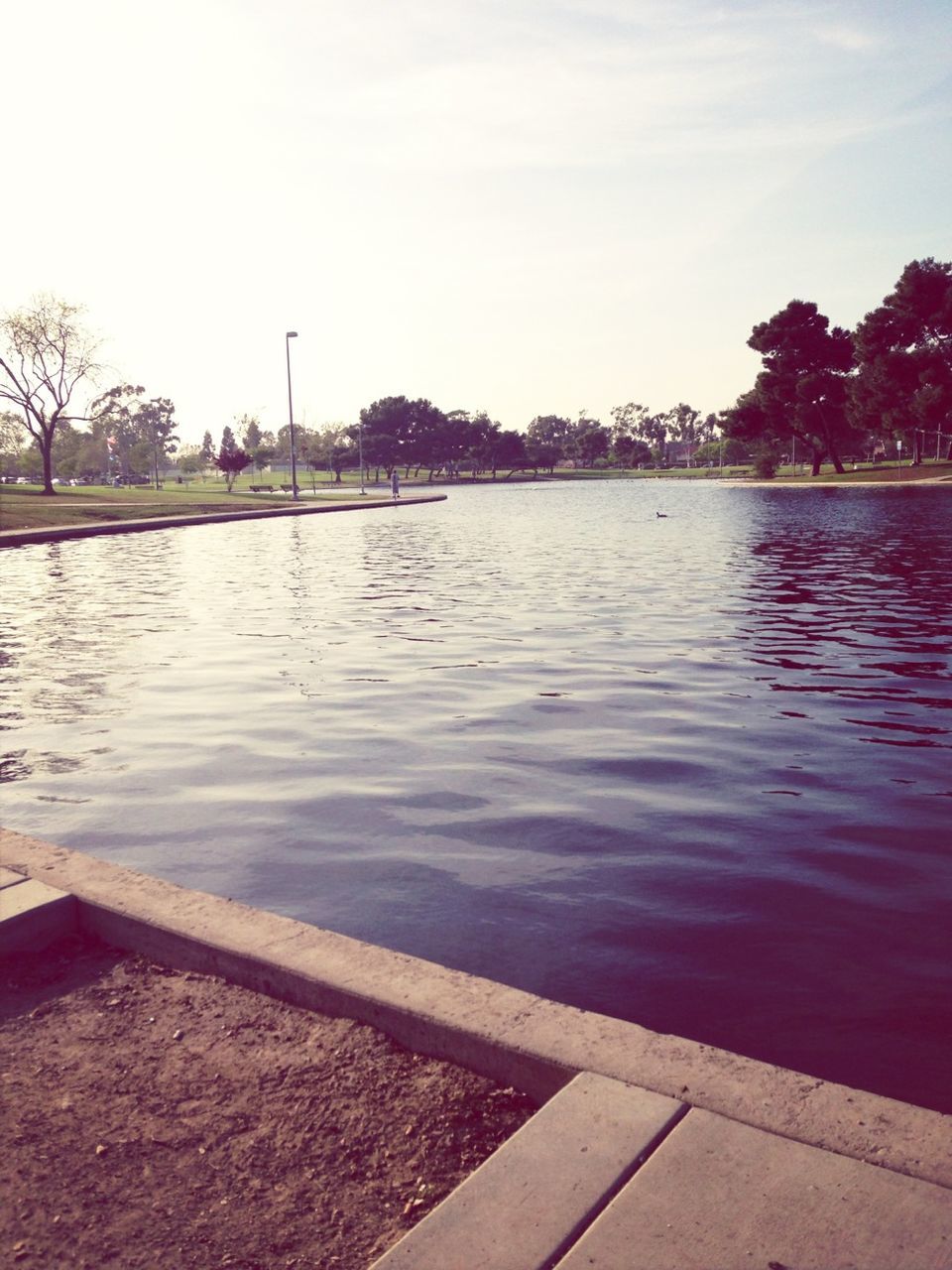 water, tree, lake, rippled, building exterior, sky, built structure, river, architecture, tranquility, reflection, tranquil scene, nature, outdoors, scenics, waterfront, day, beauty in nature, city, sunlight