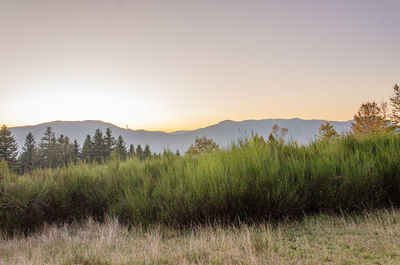 Scenic view of field against sky during sunset
