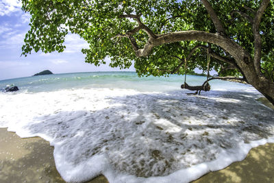 View of birds on beach