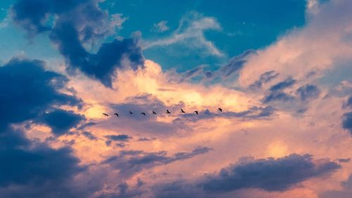 Low angle view of silhouette birds flying against sky