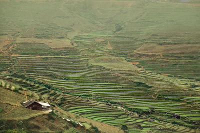 Aerial view of agricultural field