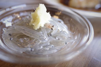 Close-up of fish in container