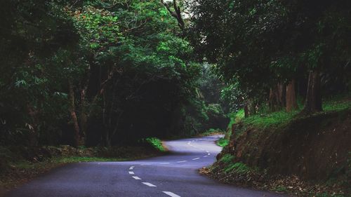 Road amidst trees in forest