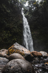 Scenic view of waterfall in forest