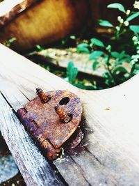 Close-up of rusty wooden door