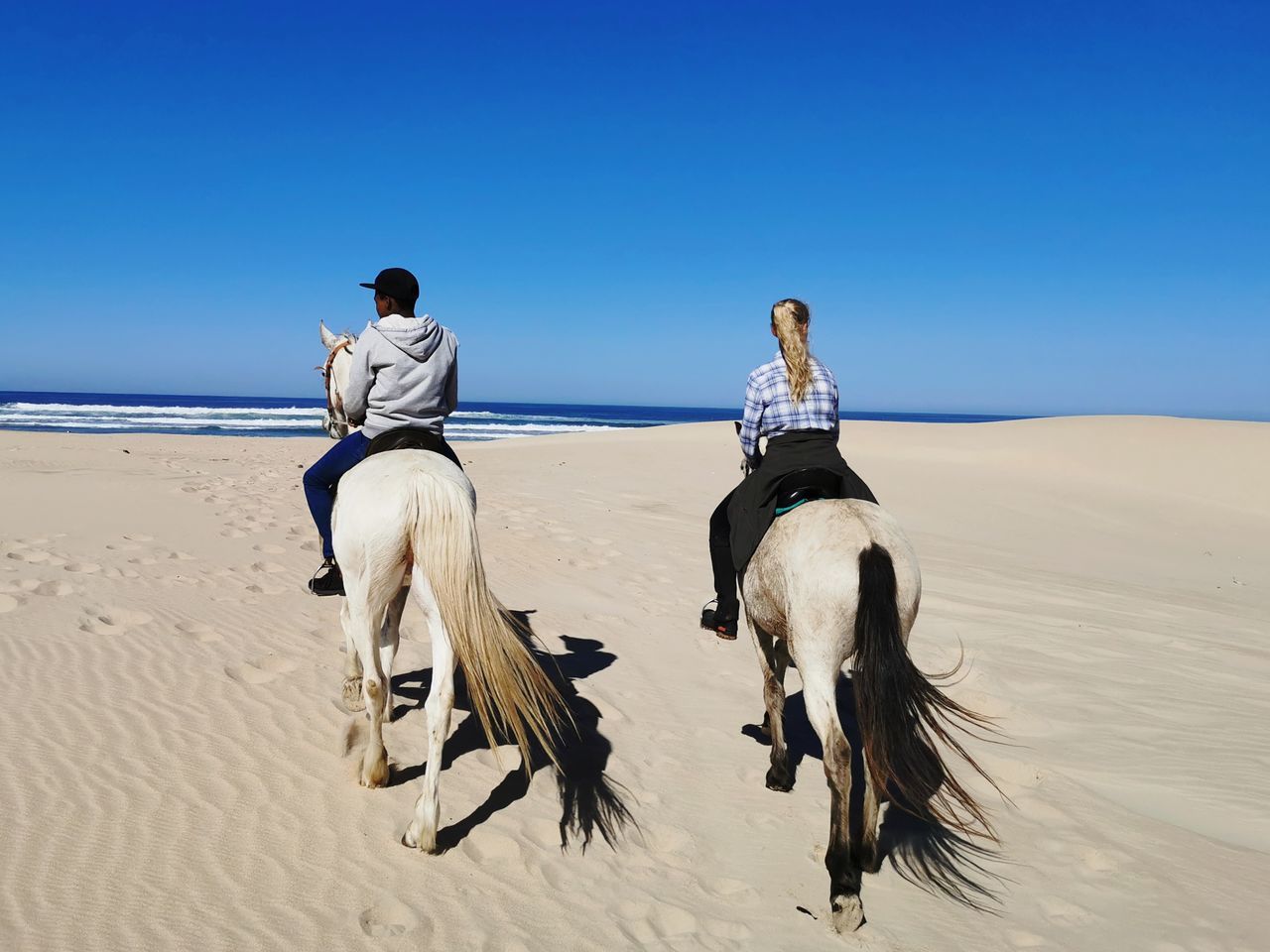 sky, land, sand, mammal, domestic animals, domestic, real people, pets, clear sky, horseback riding, beach, men, livestock, working animal, vertebrate, scenics - nature, nature, rear view, riding, herbivorous, climate, arid climate