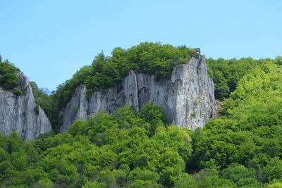 Scenic view of waterfall in forest against clear sky