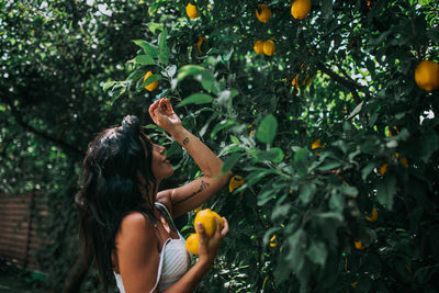 Young woman holding apple in tree