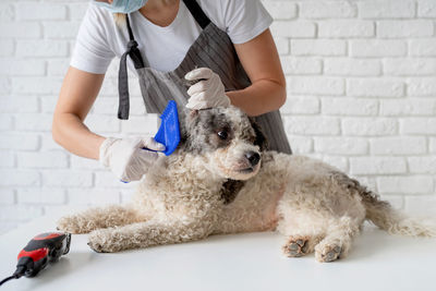 Rear view of woman with dog standing against wall