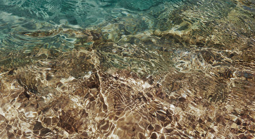 High angle view of birds in sea