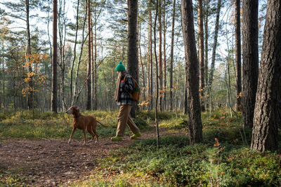 Rear view of woman walking in forest
