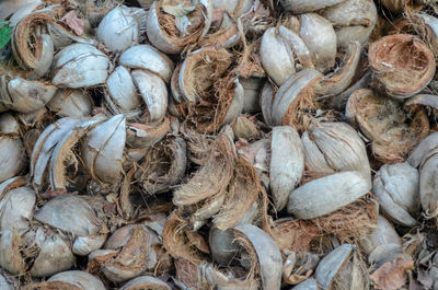 Full frame shot of onions for sale at market