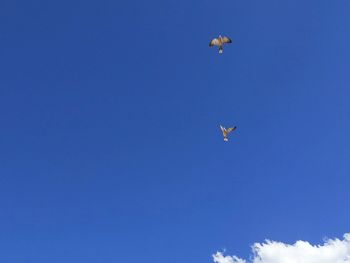 Low angle view of bird flying in sky