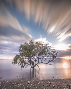 Scenic view of sunset over river