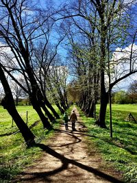 People walking on bare tree against sky