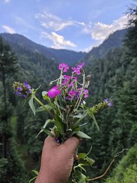 plant