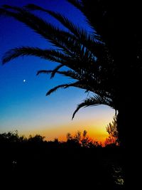 Silhouette palm trees against blue sky at sunset