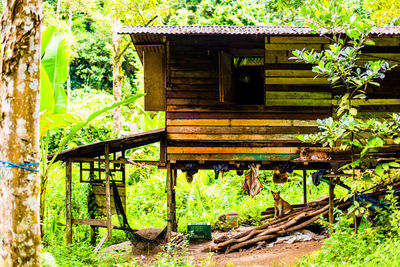 Wooden bench on field in forest