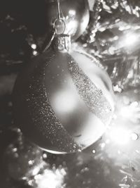 Low angle view of illuminated christmas tree