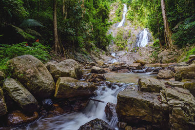 Scenic view of waterfall in forest