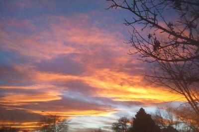 Low angle view of silhouette trees against dramatic sky