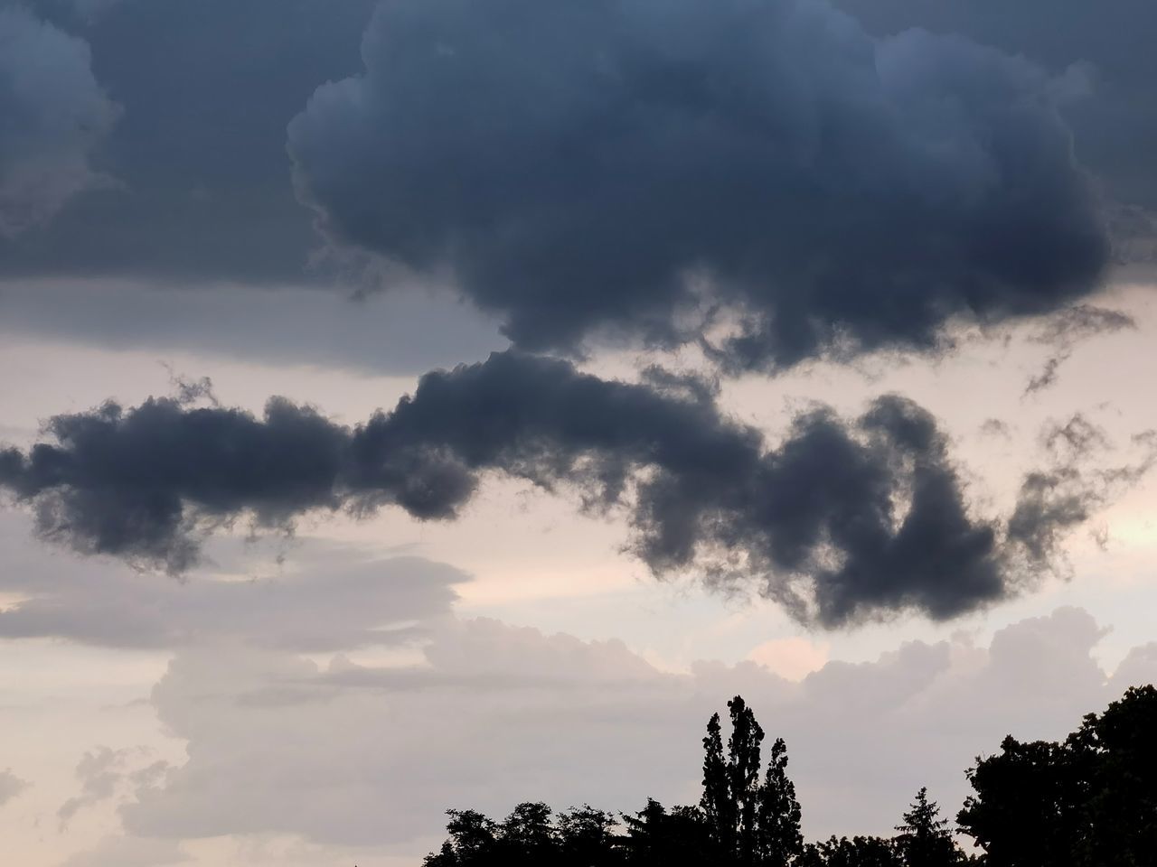 LOW ANGLE VIEW OF SILHOUETTE TREES AGAINST DRAMATIC SKY