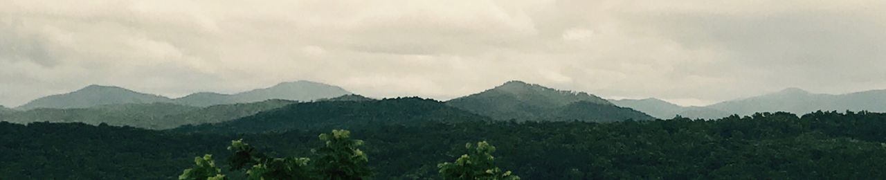 Panoramic view of forest against sky