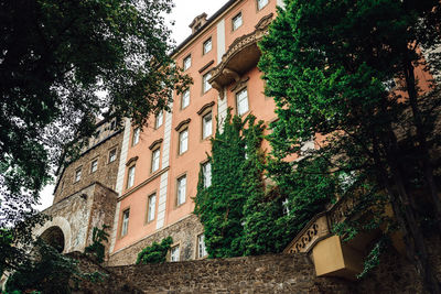 Low angle view of trees and building against sky