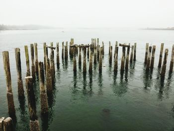 Wooden posts in sea against sky