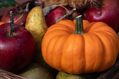 Close-up of pumpkin