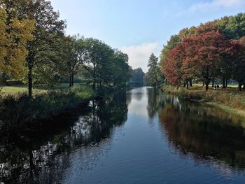 Reflection of trees in water against sky