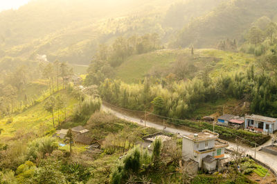 High angle view of houses and trees on landscape