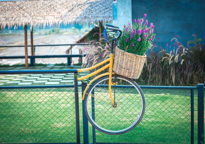 Purple flower are in a basket of bicycles