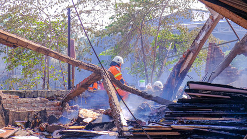 Low angle view of log on tree in forest fires