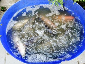 Close-up high angle view of water in bowl